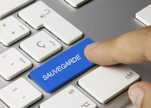 Importance de la sauvegarde